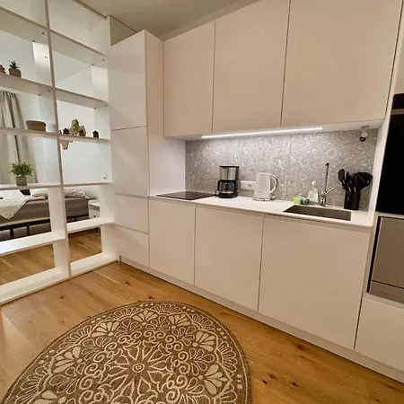Apartment Modernes Apartment In Der Altstadt Self Check In *